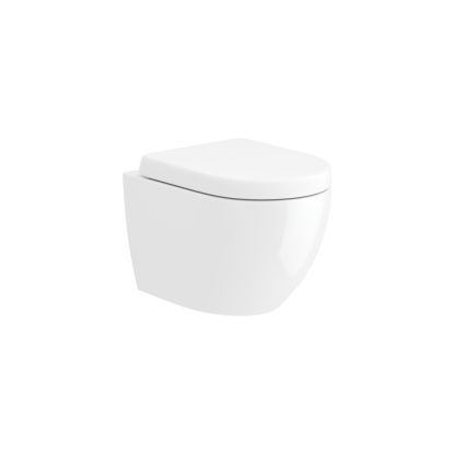 Edison Wall Hung Pan & D-Shape Seat